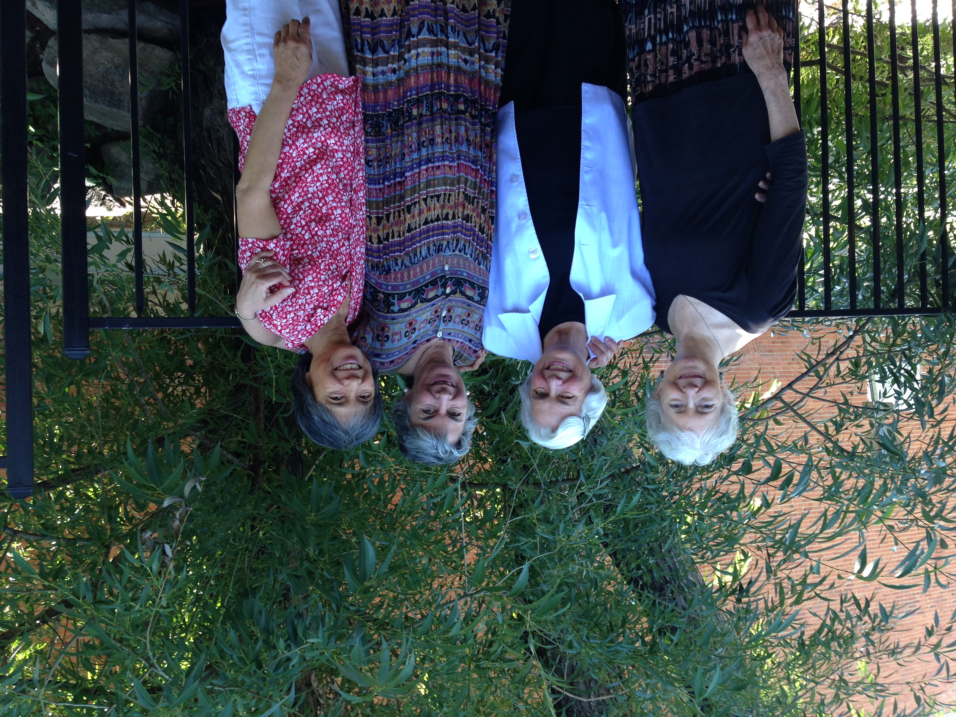 Carol, Ellen, Dar and Mary Lee, 2014